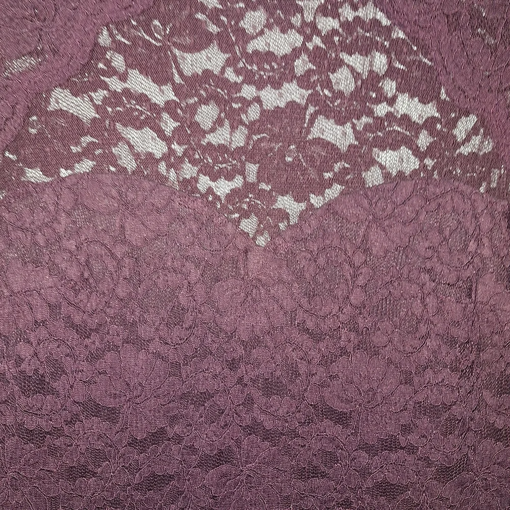 Express Lace Dress - Picture 10 of 12